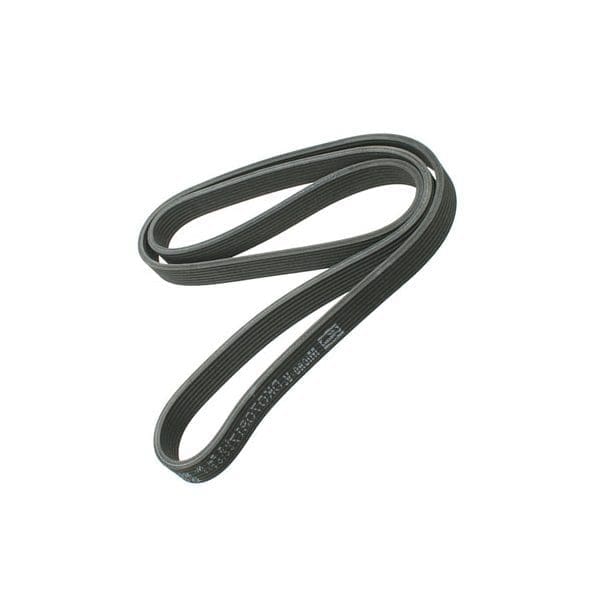 Multi Belt - 022145933P