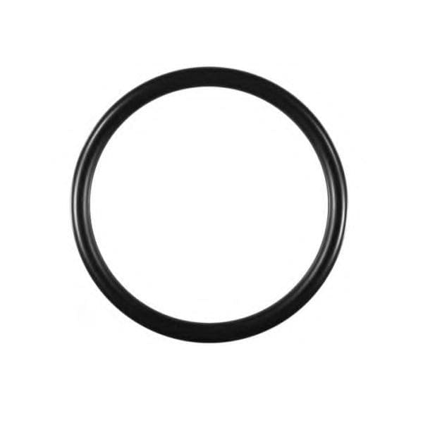 Thermostat O-Ring - 059121119