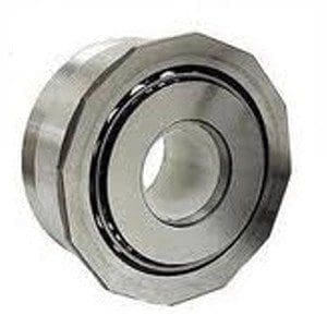 PINION BEARING - 091311219