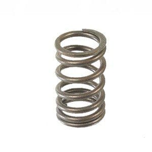 VALVE SPRING - 113109623C