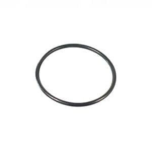 FLYWHEEL O RING - 11105295A