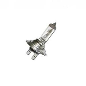 BULB HEADLIGHT 12V/55W H7 - N10320101