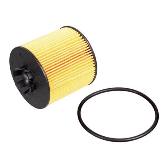 Oil Filter for CAXA Engine