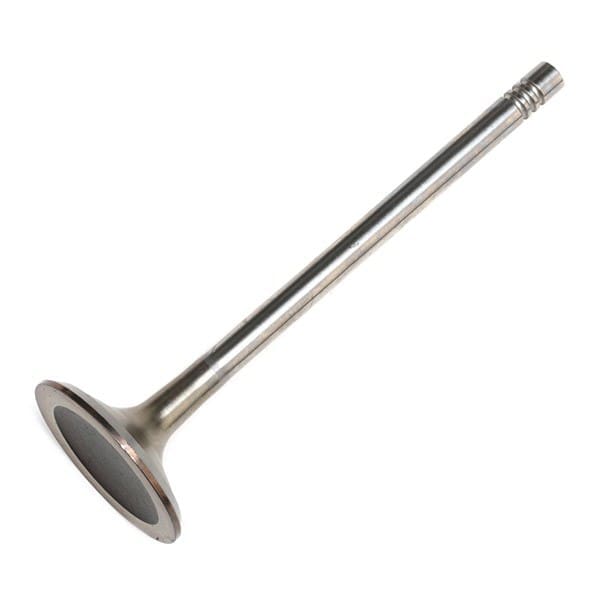 Intake Valve - 06D109601M